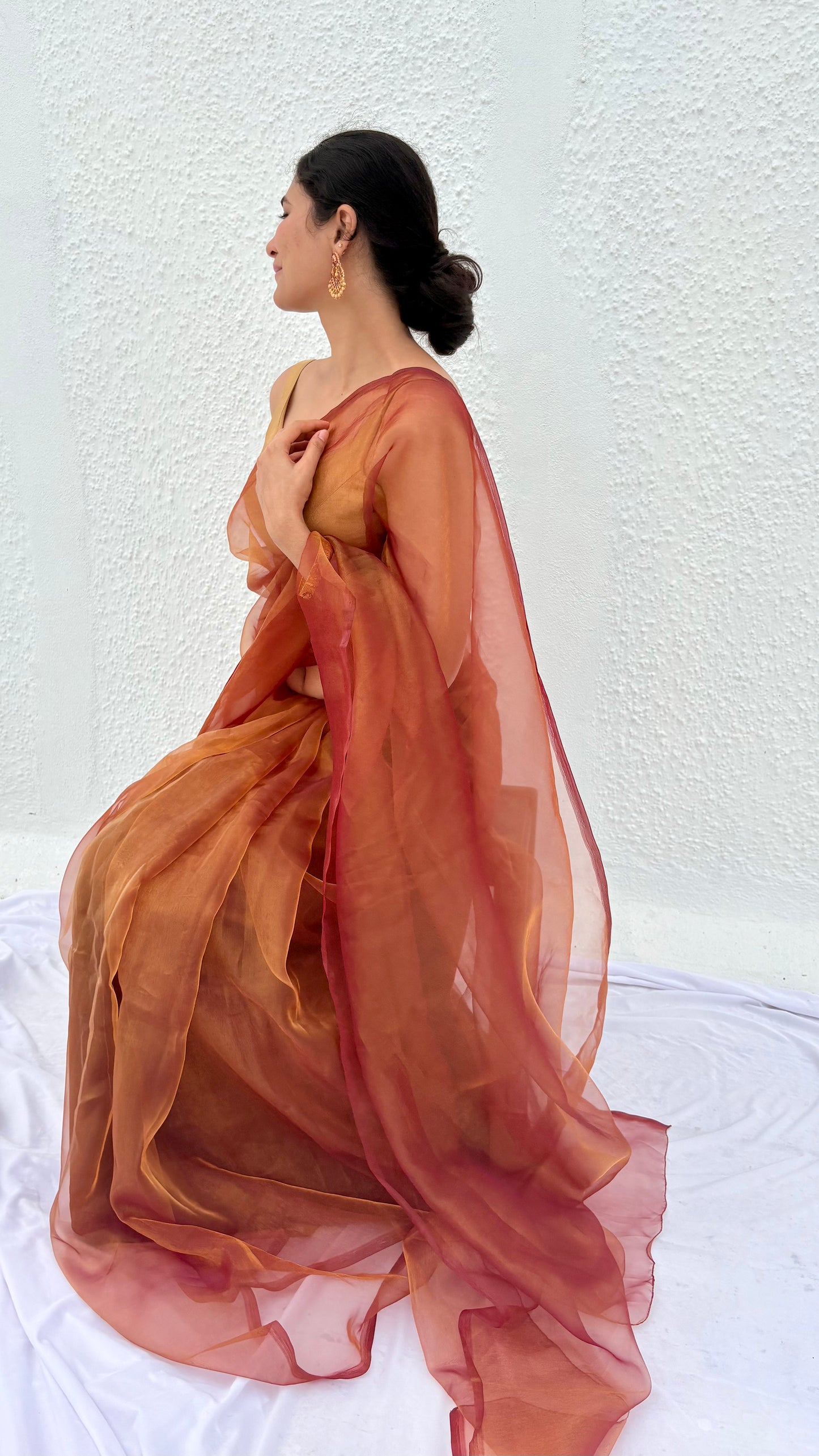 Close up or brown maroon organza saree glowing under the sun