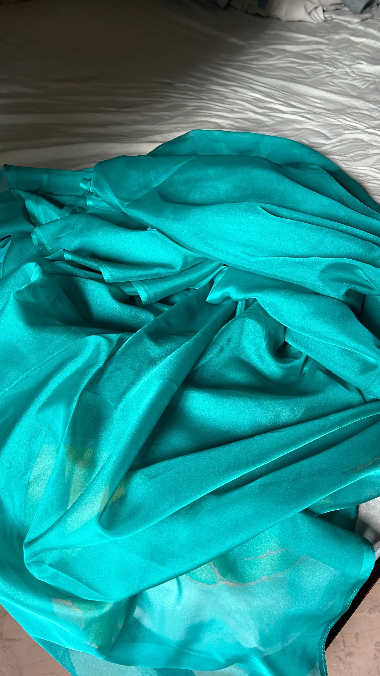 A bright Sky - Blue Organza Saree