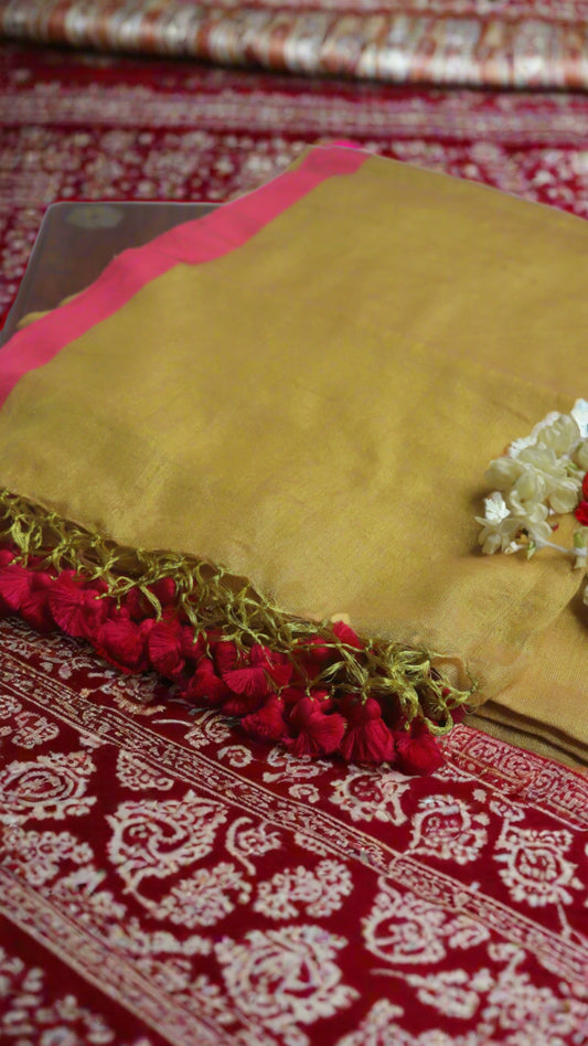 The Lime Pink Cotton Tissue Saree elegantly draped, showcasing its vibrant colors and intricate design, ideal for festive occasions