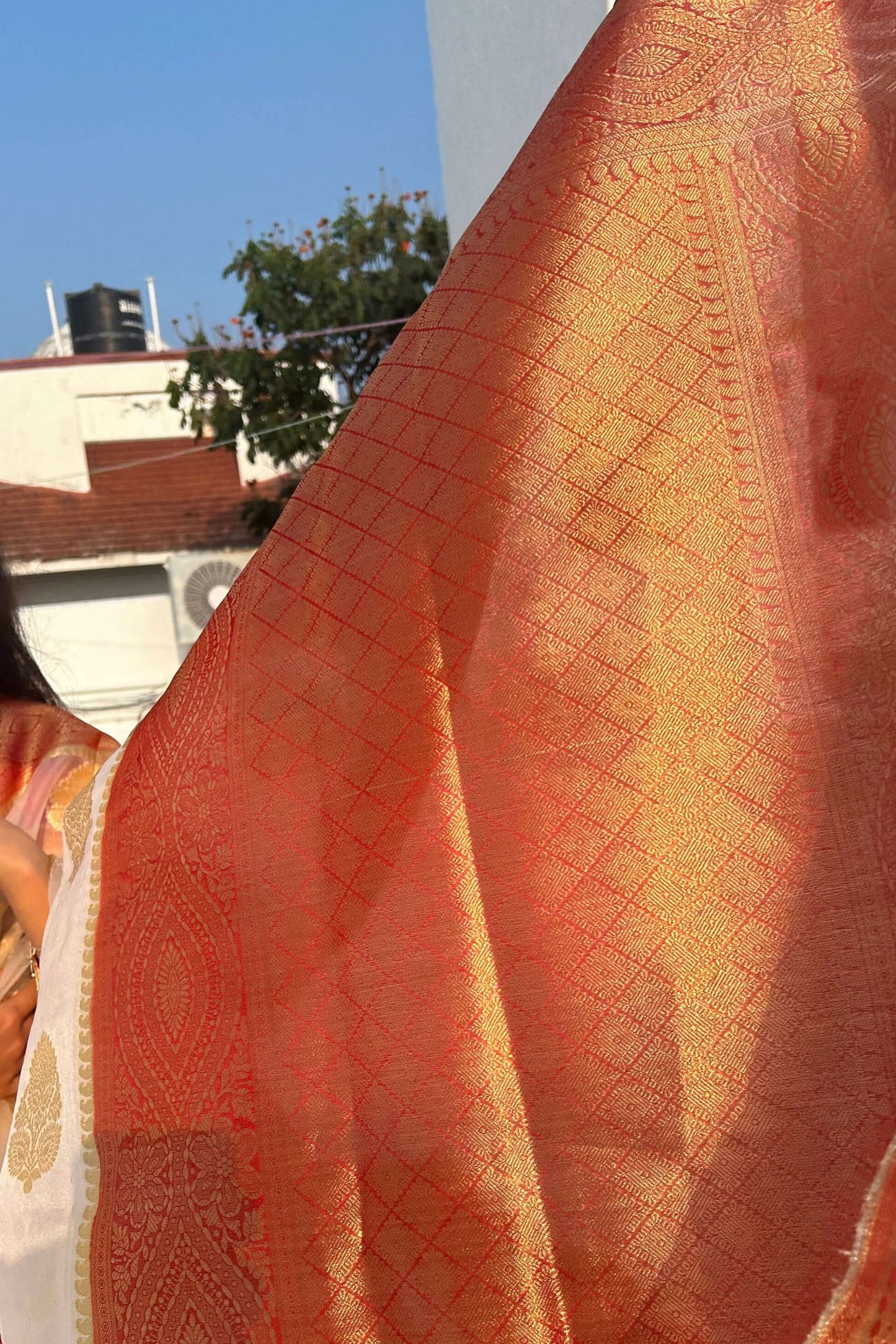 Sari en organza Banarasi blanc et rouge : une collection Anaira de luxe