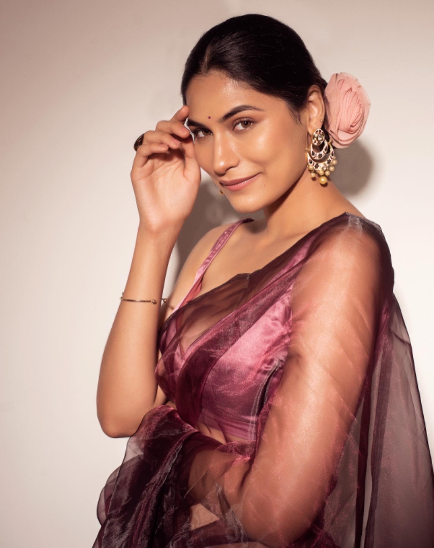 Sangria - Organza Saree