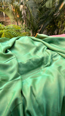 Close-up of Teal green and Mango Reversible Sareewith blurred natural background