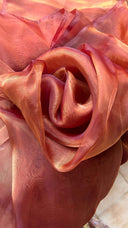 Close-up of Bride's delight organza saree with a soft focus background