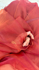 Close-up of a hand holding Bride's delight organza saree