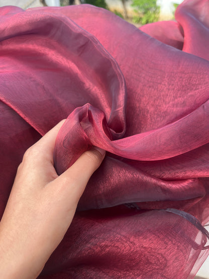 Intricate border design of the Blood Red Semi Organza Saree, showcasing craftsmanship and elegance
