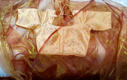 Cream brocade blouse with amber shaded organza saree