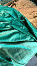 Close-up ofTeal green and Mango Reversible Saree with lighting from outdoors