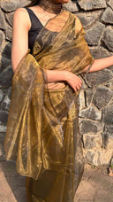 Woman wearing Glimmering Shadows Organza Saree against a stone wall.
