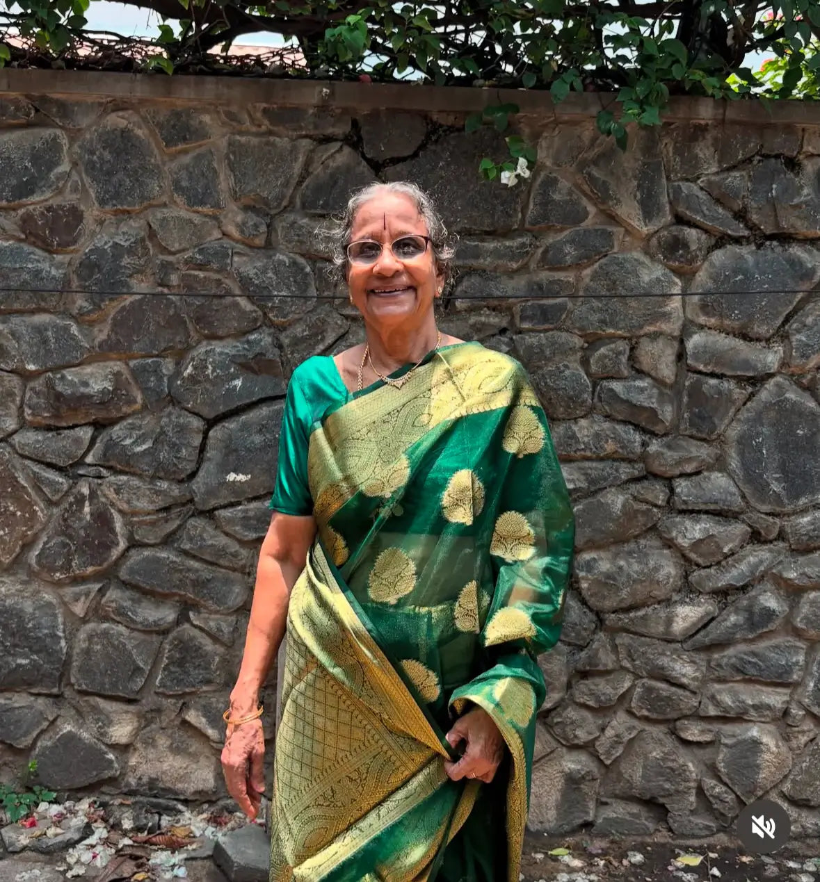 Grandmom, elderly woman wearing organza material with banarasi work and gold zari, the saree is shining under the sun making her look so beautiful.