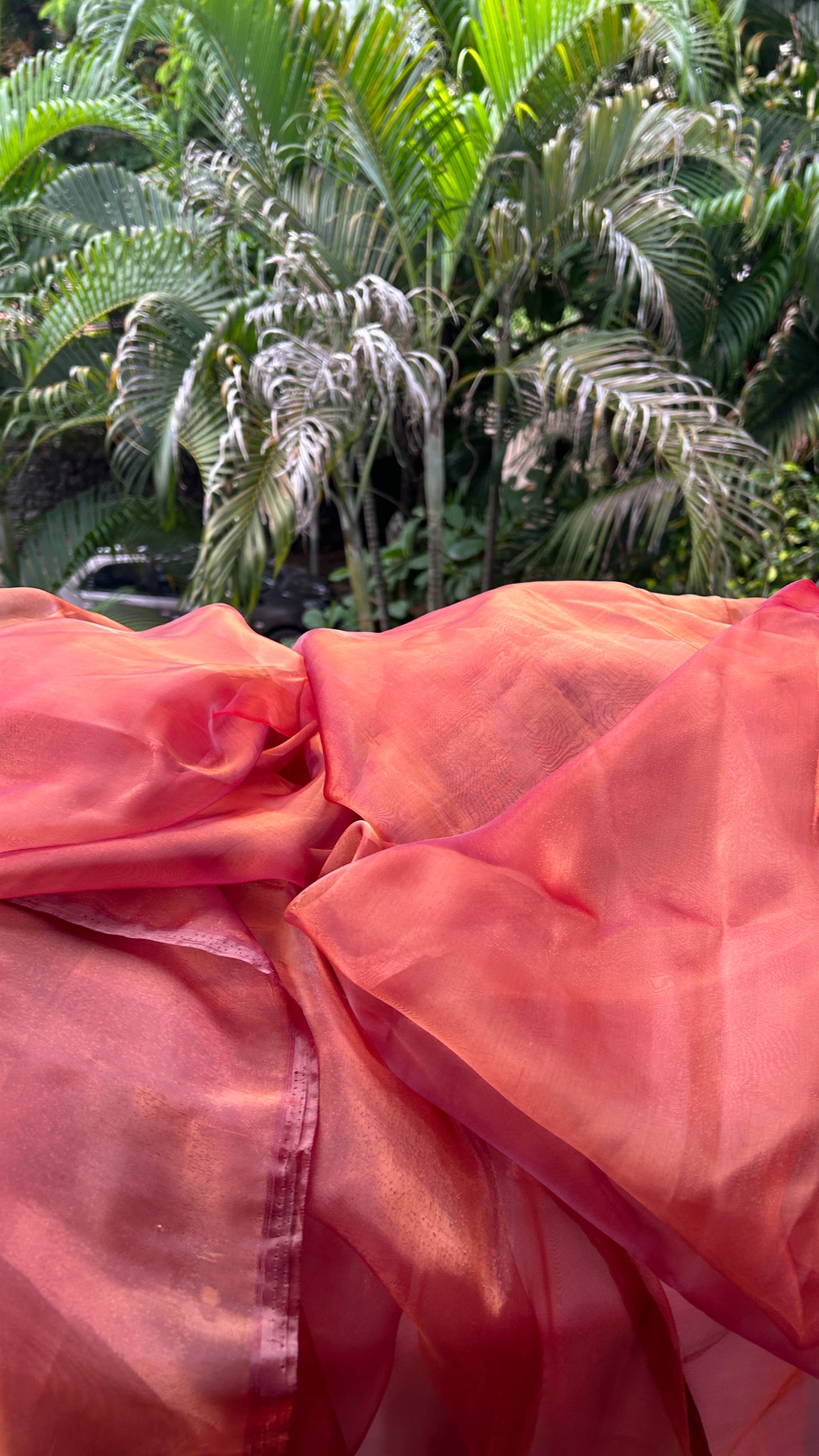 Honey Wine - Semi Organza Saree