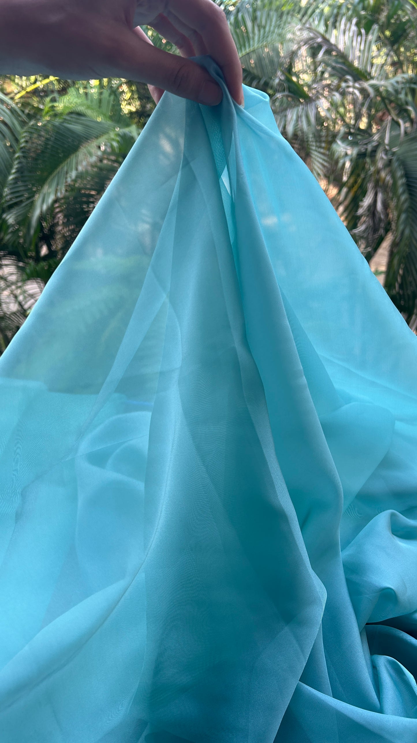 Sky Blue -  Organza Saree