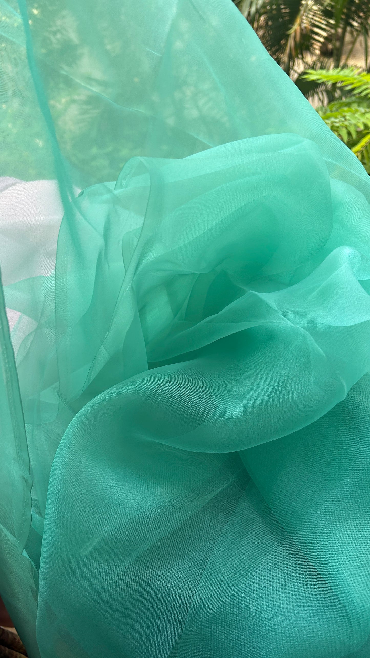 Pastel Green -  Organza Saree