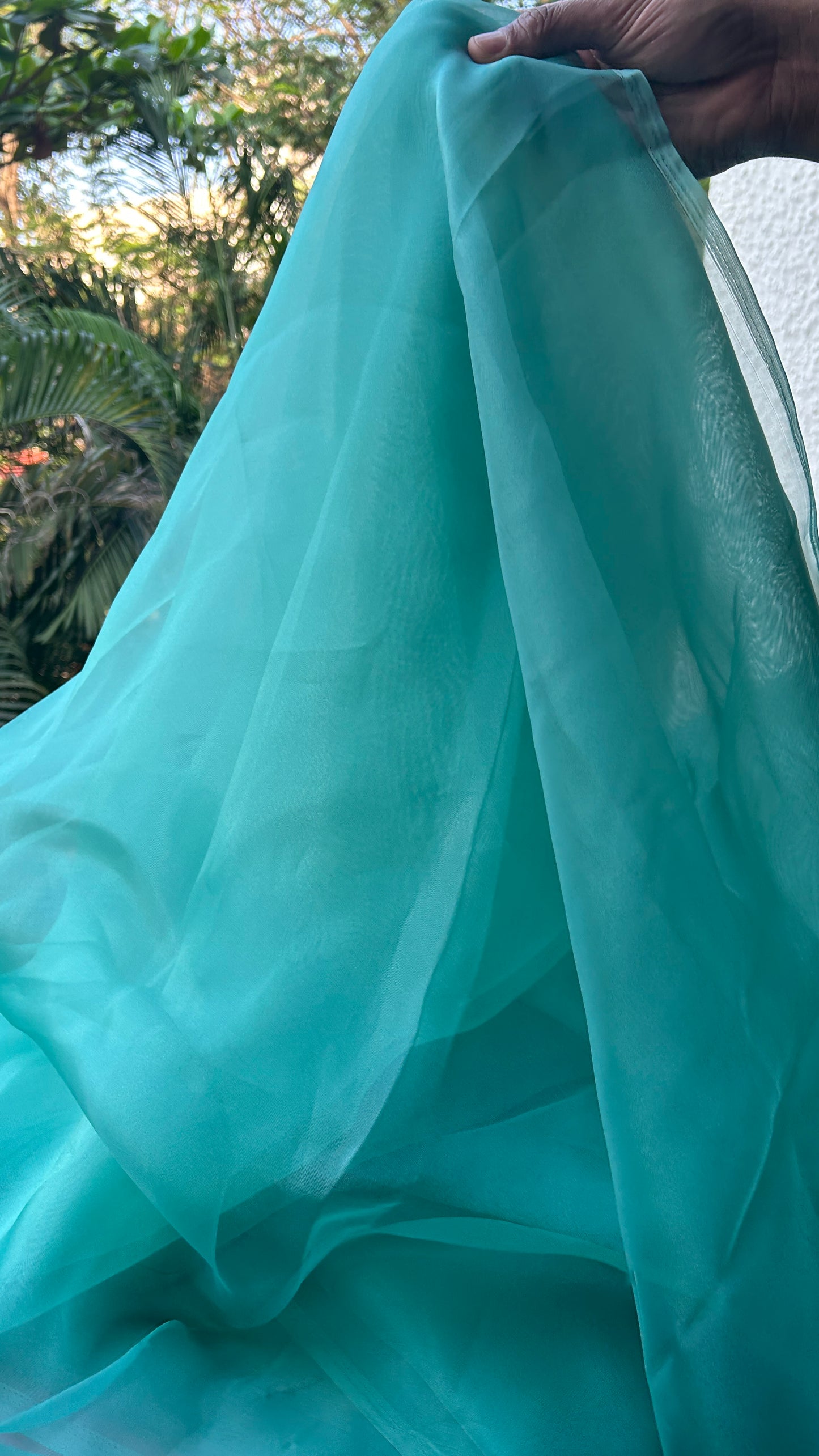 Sky Blue -  Organza Saree