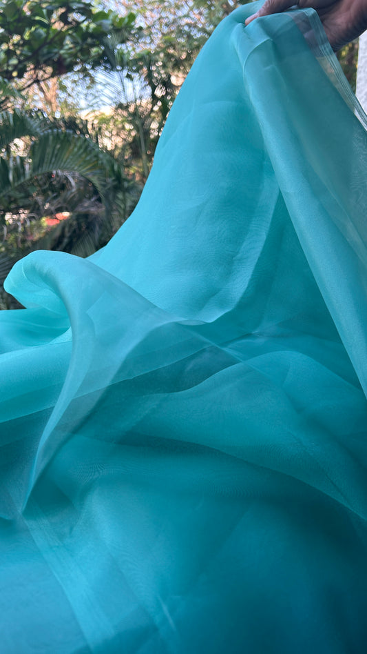 Sky Blue -  Organza Saree