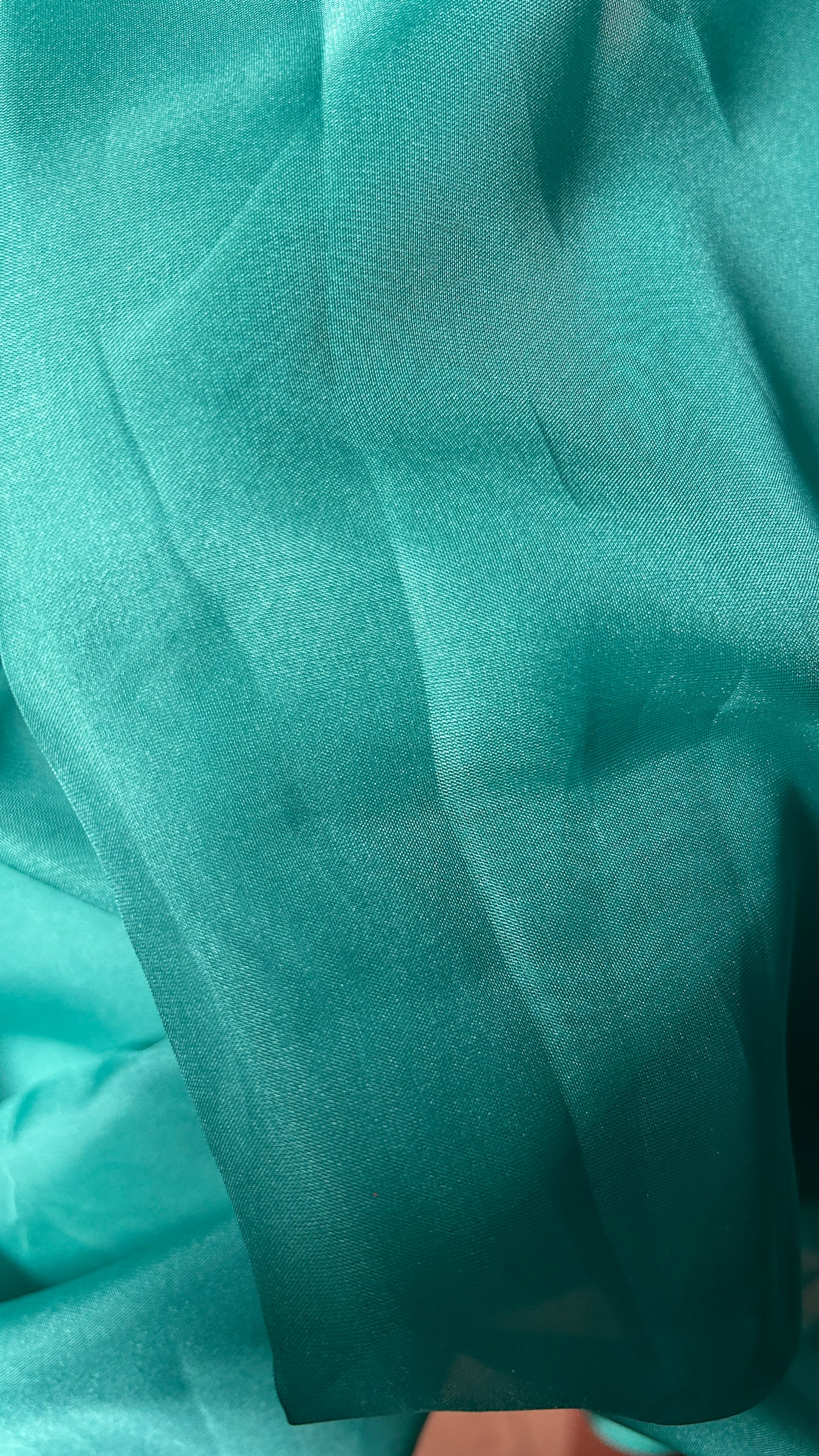 Pastel Green -  Organza Saree