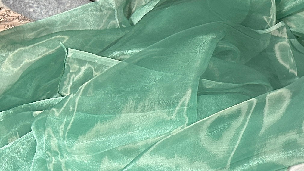 Pastel Green -  Organza Saree