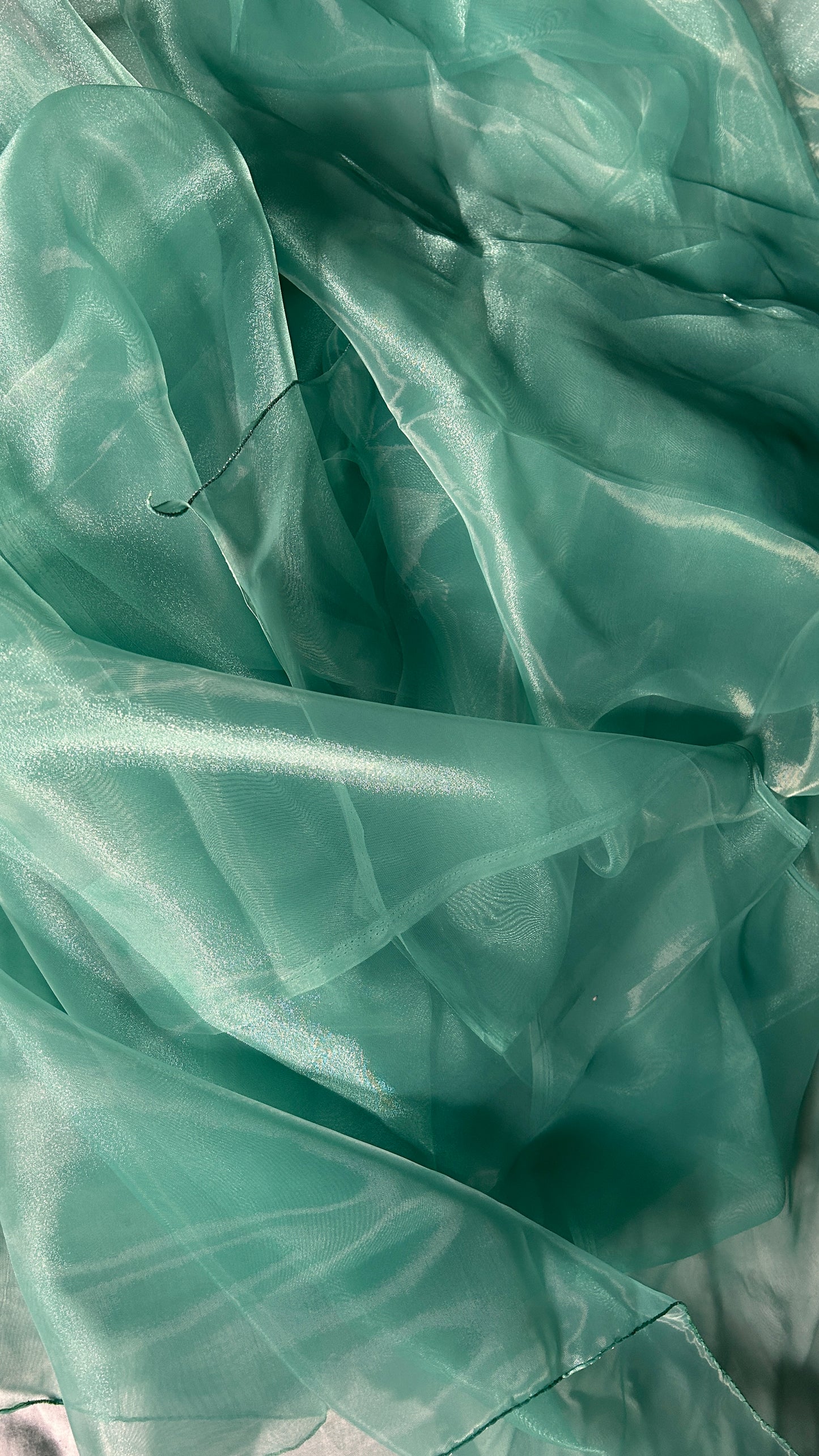 Pastel Green -  Organza Saree