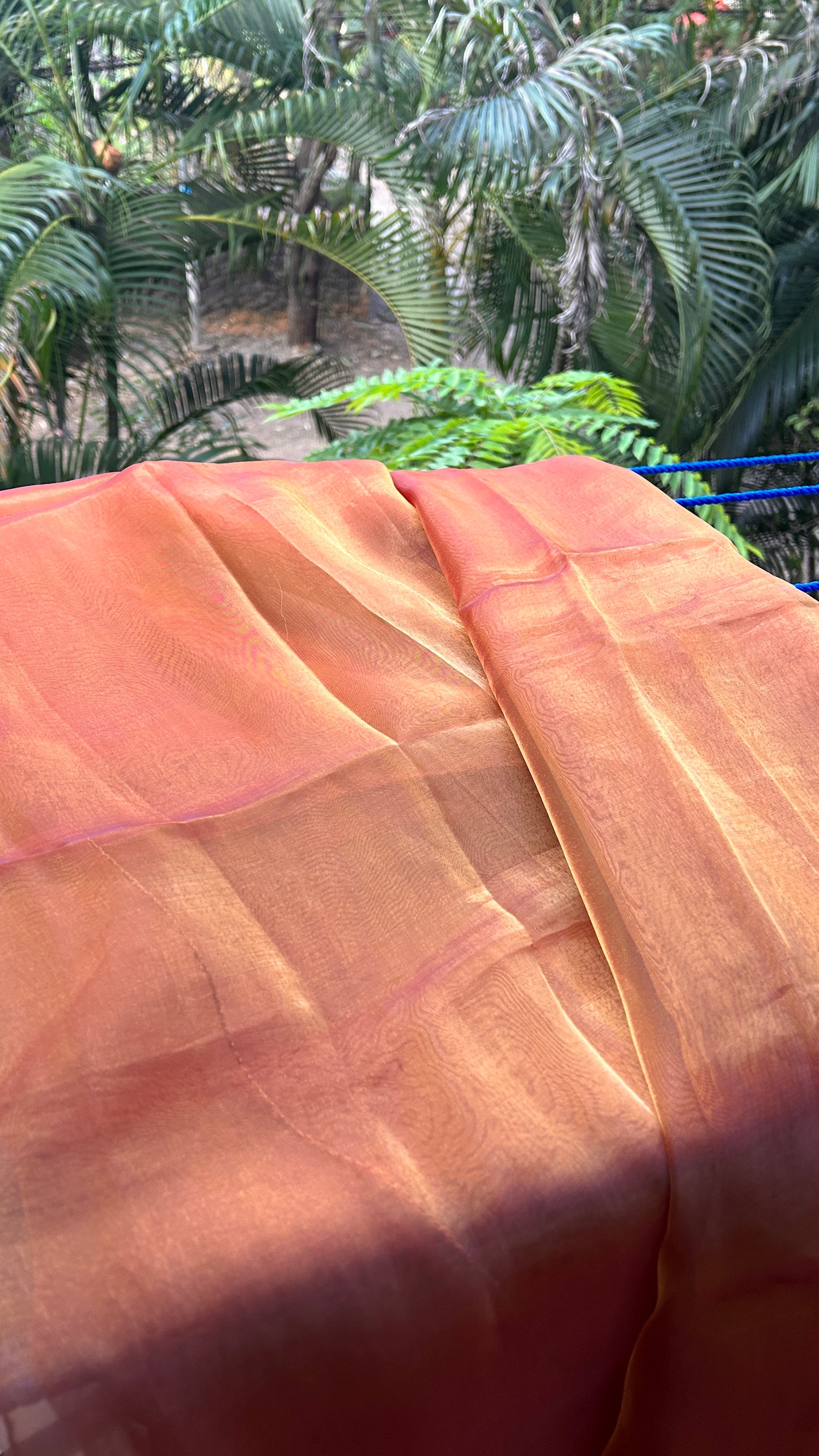 Cocoa Butter  - Organza Saree