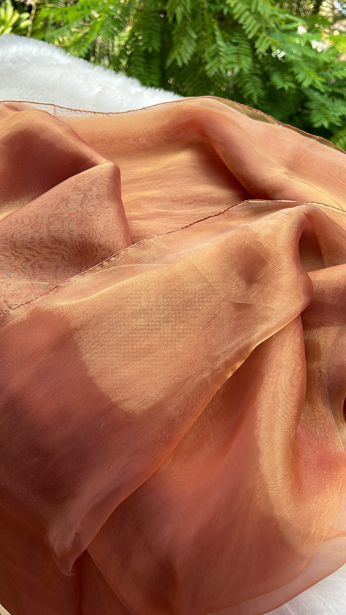 Cocoa Butter  - Organza Saree