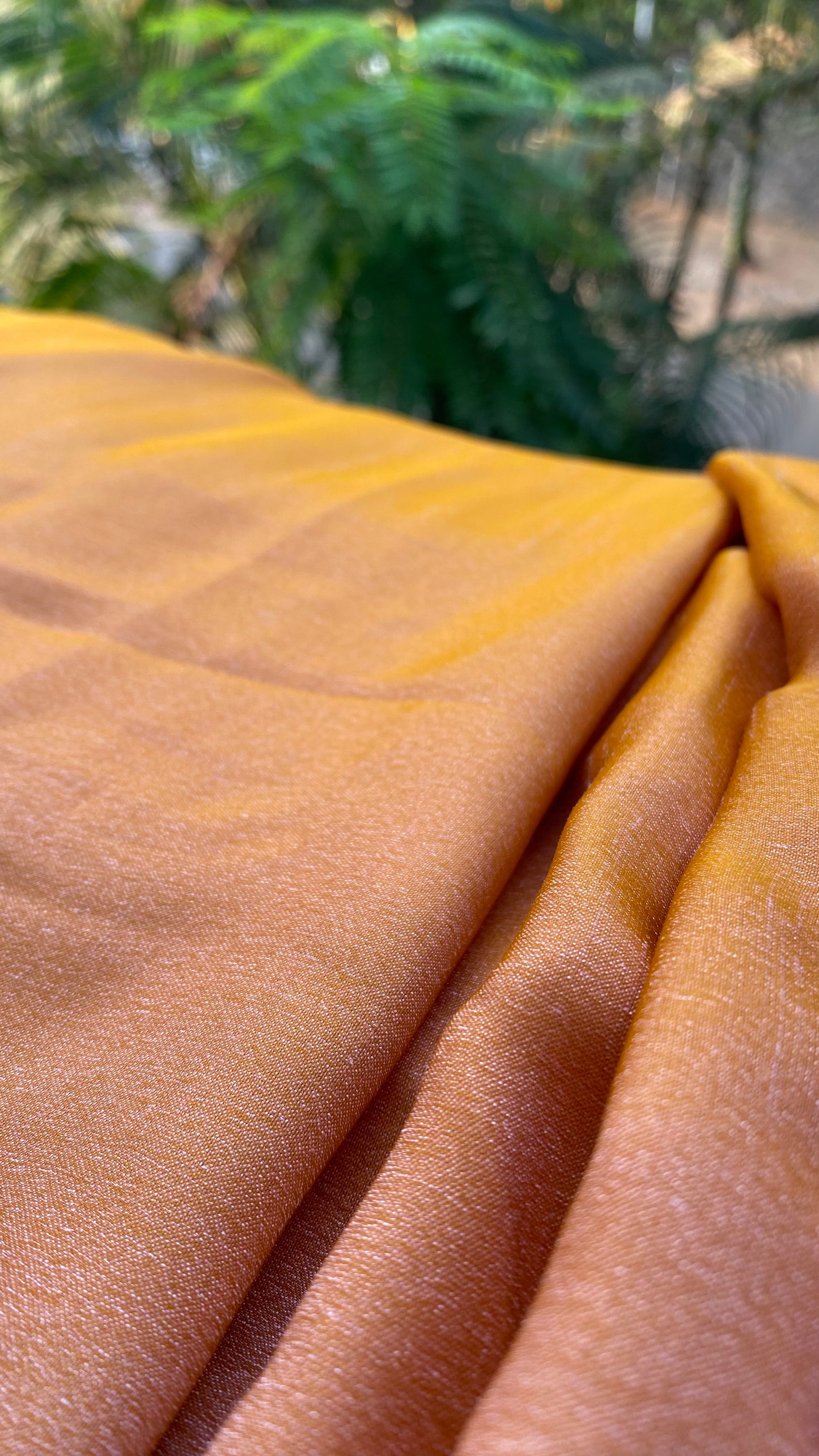 Golden + Cream : Reversible Saree