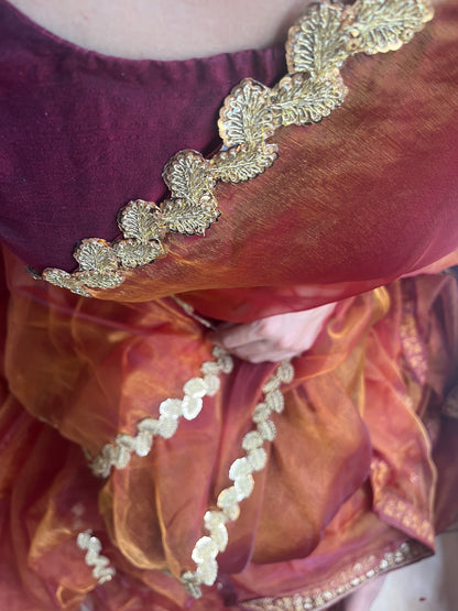 Starstruck Radiance Saree - Label Anaira