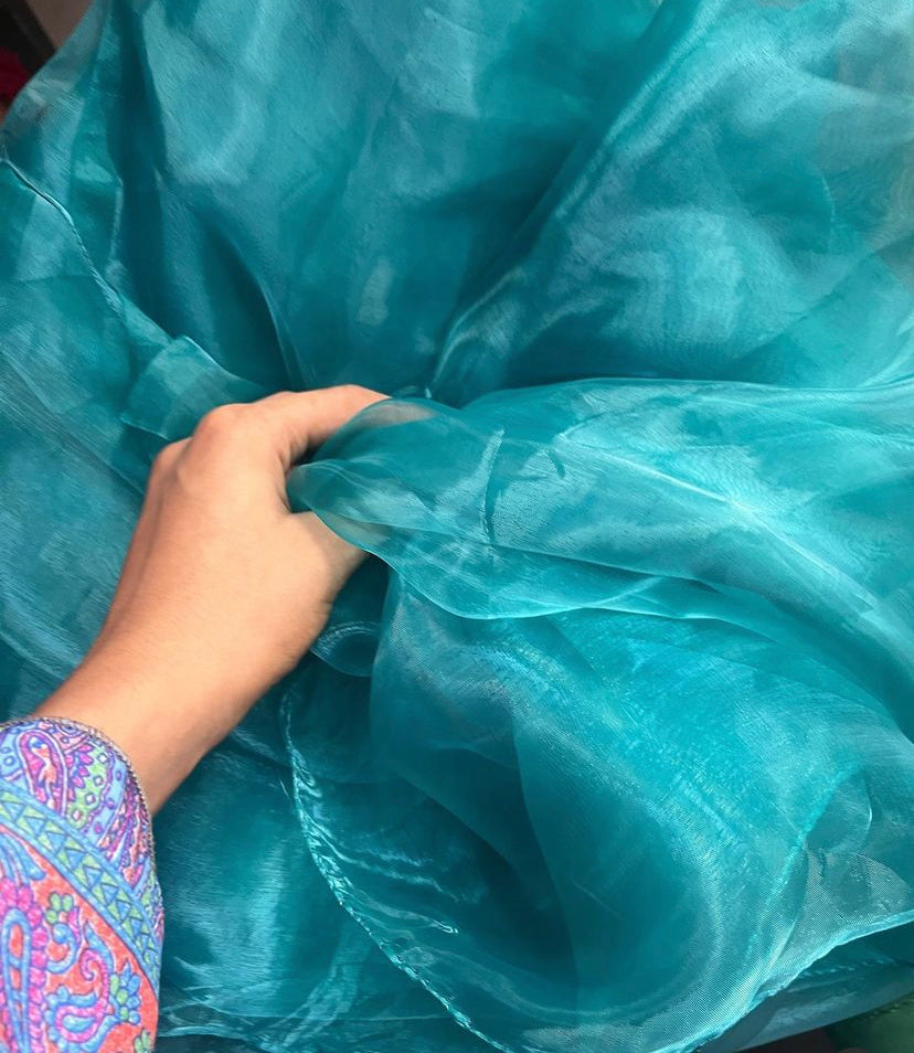 Pure Blue Bliss - Semi Organza Saree