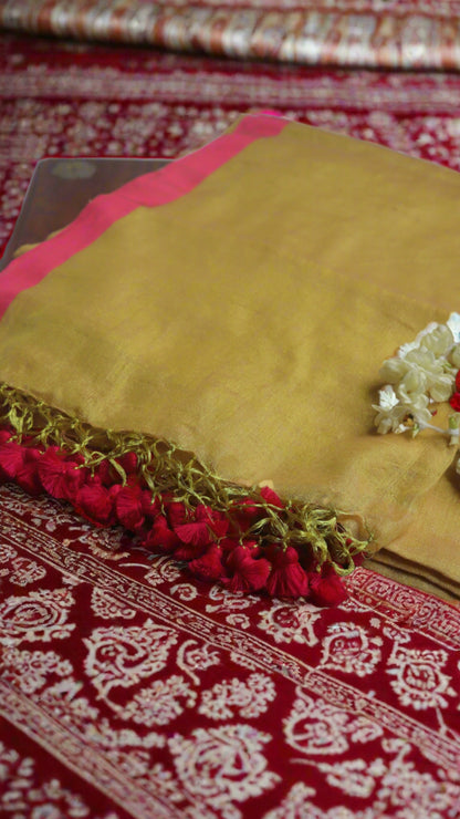 The Lime Pink Cotton Tissue Saree elegantly draped, showcasing its vibrant colors and intricate design, ideal for festive occasions