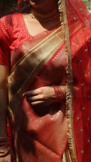 Molten Gold Tissue Saree with gold border worn by a person, close-up view.