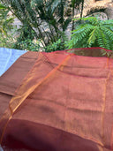  The Perfect Honey Petticoat Inskirt styled with a saree, illustrating its versatility and enhancing the overall look.