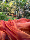 Quality Reject - Queen Bee : Honey Organza Saree - Label Anaira