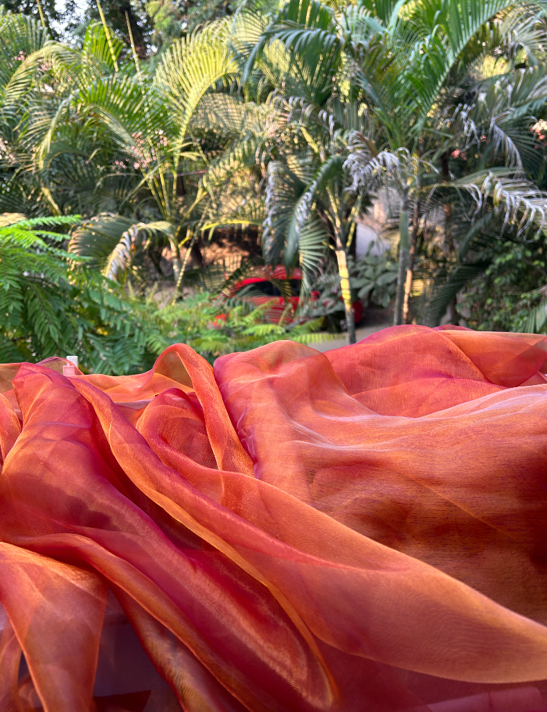 Quality Reject - Queen Bee : Honey Organza Saree