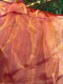 Quality Reject - Queen Bee : Honey Organza Saree - Label Anaira