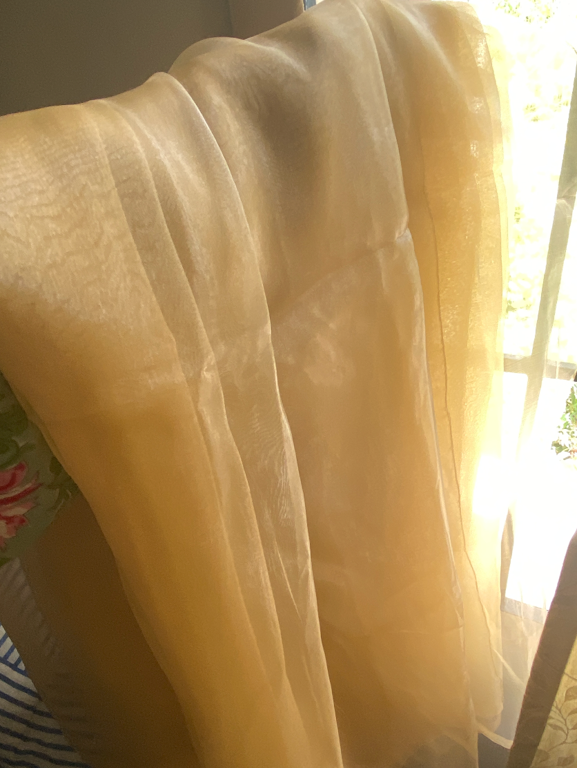 Caramel Gold Organza Saree