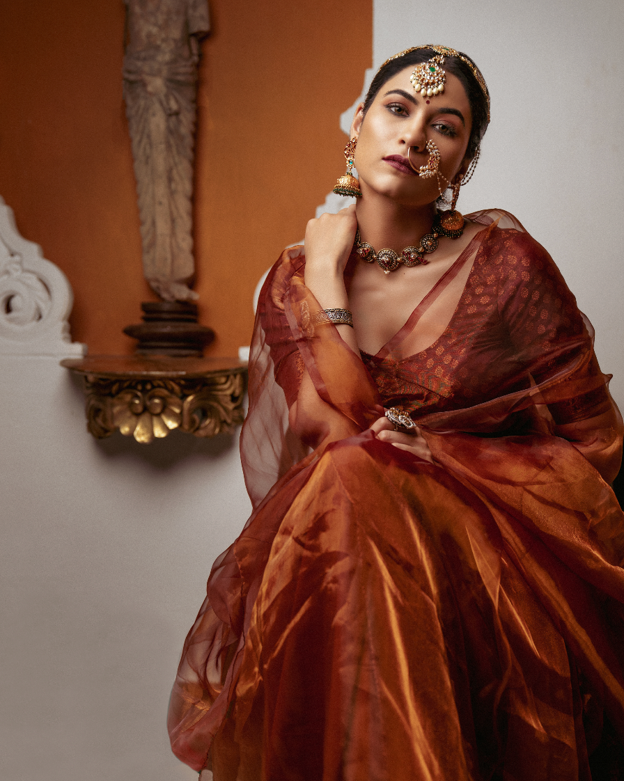 Queen Bee : Honey Organza Saree