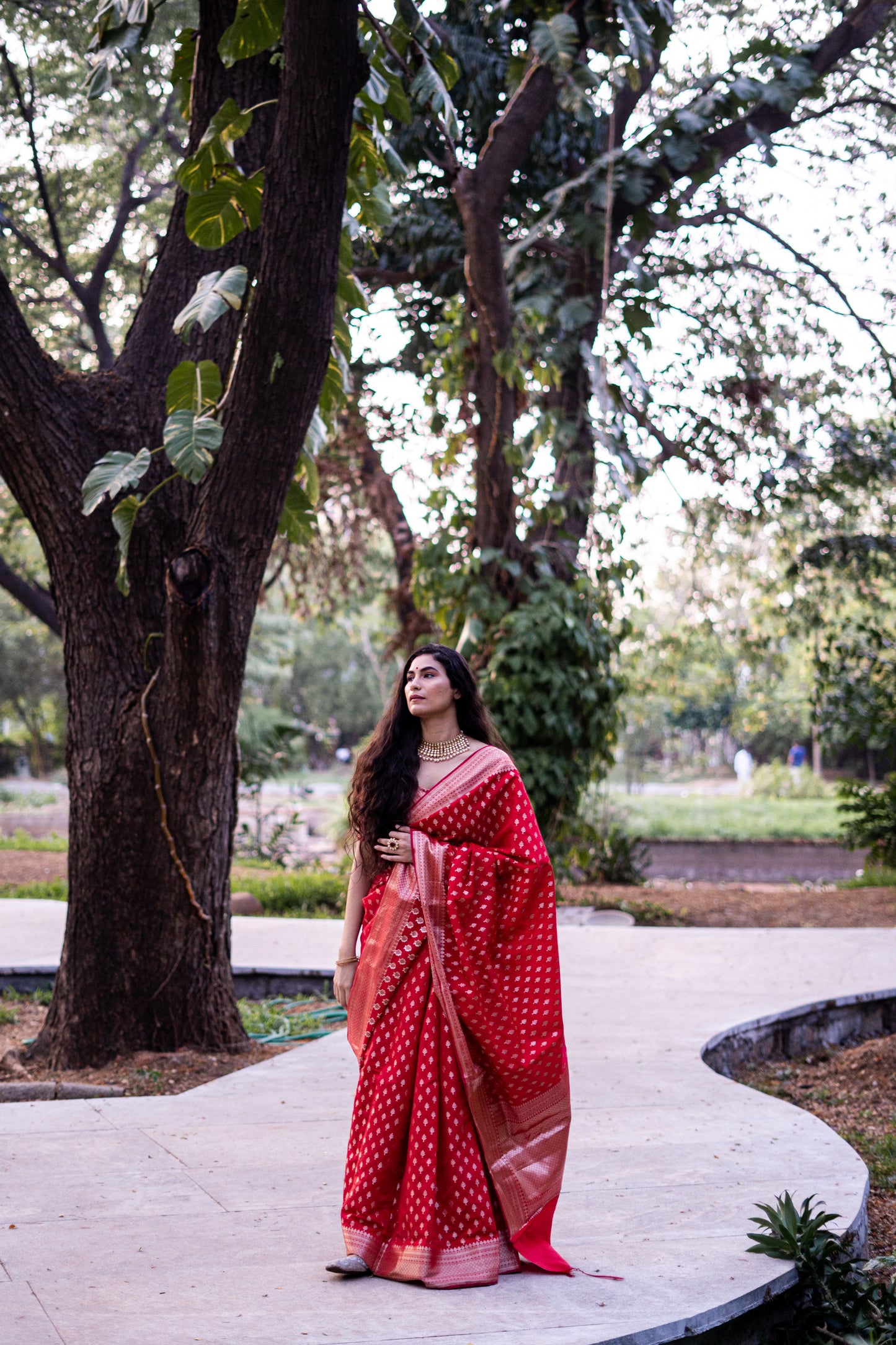 Classic Red Banarasi Saree