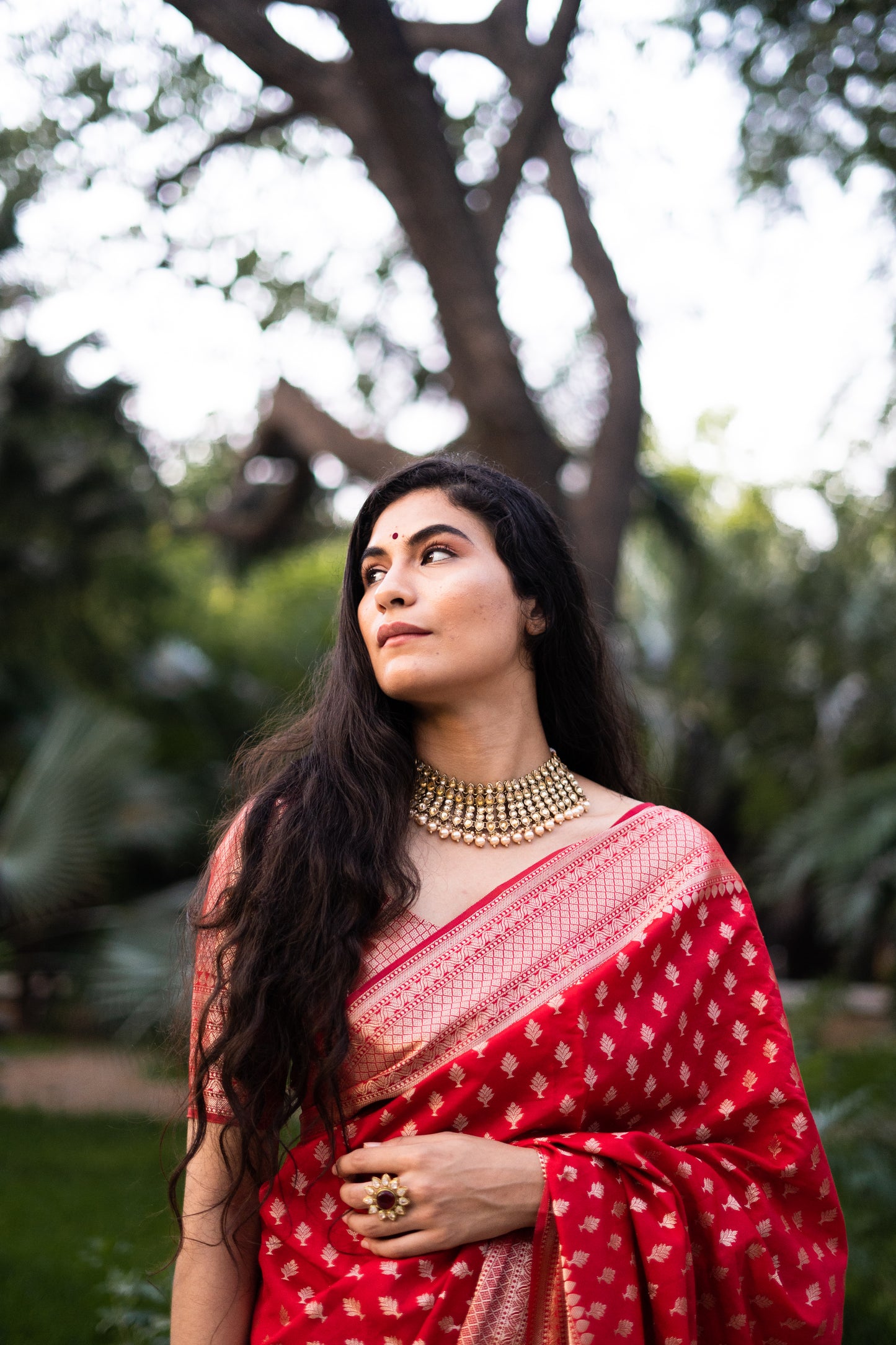 Classic Red Banarasi Saree