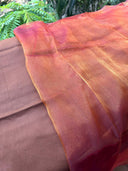 Honey Petticoat sheer overlay against a blurred green background