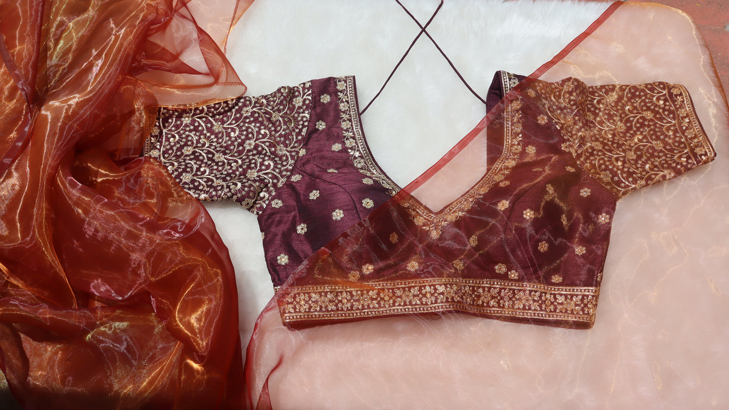 Traditional Brown blouse with ornate gold zari designs paired with a honey organza saree