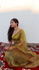 Detail view of A Secret in the Garden Olive Organza Saree by Label Anaira featuring sheer premium organza fabric and an elegant olive green colour.