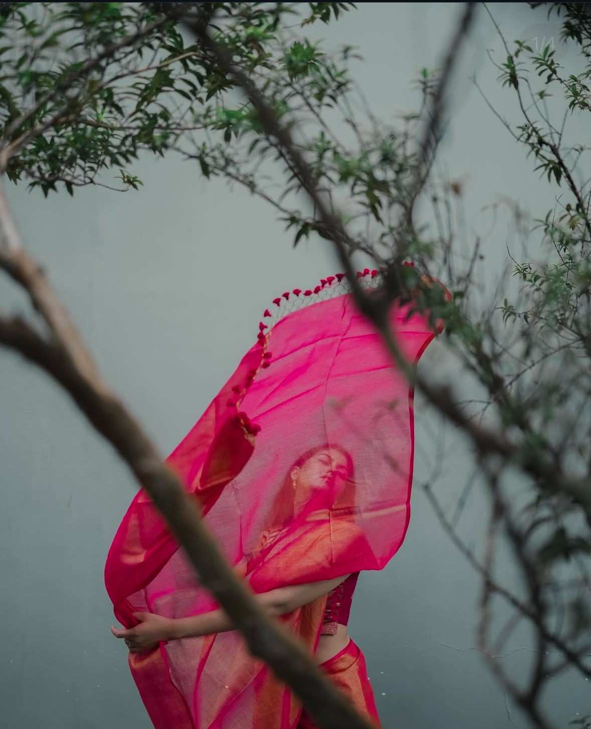 Woman wearing a pink traditional saree with a natural background, the saree tassels are handmade, transparent material shining under sunlight 
