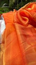 Orange organza saree under sunlight glowing gold