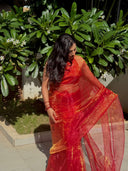 Back drape view of Queen Bee Honey Organza Saree in a garden — honey gold wedding saree, Label Anaira