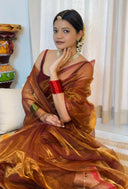 woman in orange maroon brown organza soft saree